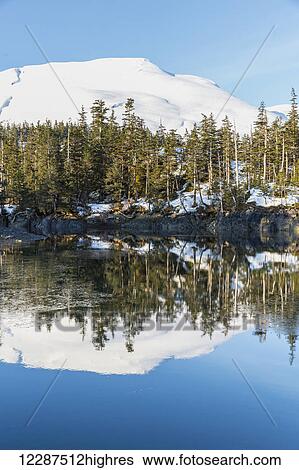 Stock Photograph - Evergreen trees and snow covered mountains reflect in the calm waters of Prince William Sound in winter; Whittier, Alaska, United States of America. Fotosearch