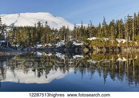 Stock Photograph - Evergreen trees and snow covered mountains reflect in the calm waters of Prince William Sound in winter; Whittier, Alaska, United States of America. Fotosearch
