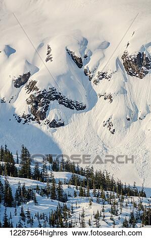 Stock Photograph - Evergreen trees in a snowy landscape high above Kings Bay, Prince William Sound; Whittier, Alaska, United States of America. Fotosearch