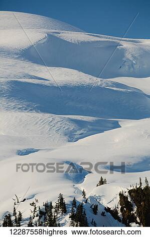 Stock Photograph - Evergreen trees stop below a snowy ridgeline above Kings Bay in Prince William Sound; Whittier, Alaska, United States of America. Fotosearch