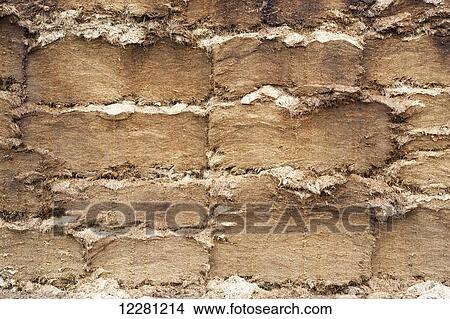 Picture - Face of a silage clamp, cut using a shear grab to seal the face to stop air getting in; Cumbria, England. Fotosearch