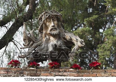 Stock Photograph - Face of Jesus Christ and crown of thorns carved into a tree stump with red flowers along a wall; Guanajuato, Mexico. Fotosearch