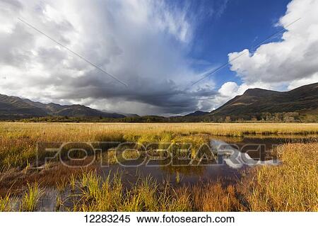 Stock Photography - Fall scenic along Chiniak Highway, Kodiak, Southwest Alaska. Fotosearch