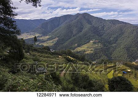 Farmland in a valley surrounded by mountains; Thimphu, Bhutan View Large Photo Image Stock Image - Farmland in a valley surrounded by mountains; Thimphu, Bhutan. Fotosearch