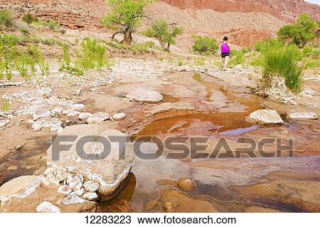 Stock Image - Female adventurer exploring a desert canyon narrows, Capitol Reef National Park; Utah, United States of America. Fotosearch