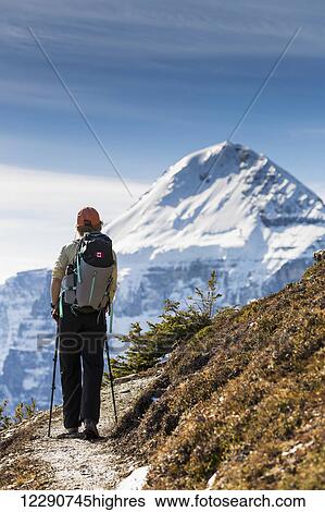 Stock Photograph - Female hiker with poles along a mountain trail with glacier peaked mountain in the distance, Banff National Park; Alberta, Canada. Fotosearch