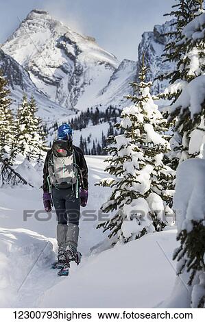 Stock Photograph - Female snowshoer on snow trail with snow covered trees and snow covered mountains in the background with blue sky; Kananaskis Country, Alberta, Canada. Fotosearch