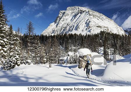 Stock Photograph - Female snowshoer on snow trail with snow covered trees and snow covered mountains in the background with blue sky; Kananaskis Country, Alberta, Canada. Fotosearch