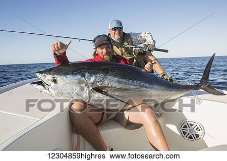 Stock Photograph - Fisherman holds a large fresh fish caught from a boat on the Atlantic ocean; Cape Cod, Massachusetts, United States of America. Fotosearch