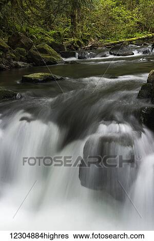 Fishhawk Creek cascades over the rocks; Jewell, Oregon, United States of America View Large Photo Image Stock Photograph - Fishhawk Creek cascades over the rocks; Jewell, Oregon, United States of America. Fotosearch