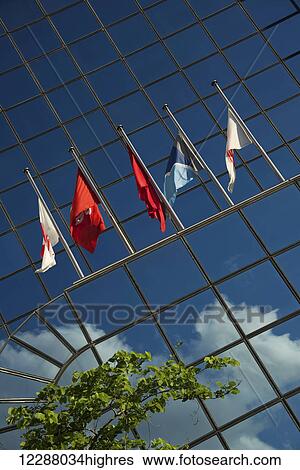 Five flags on glass building near tree; Hong Kong, China View Large Photo Image Stock Photograph - Five flags on glass building near tree; Hong Kong, China. Fotosearch