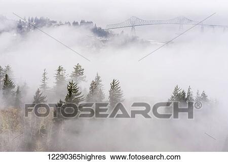 Stock Photograph - Fog blankets the hills along the Columbia River; Astoria, Oregon, United States of America. Fotosearch