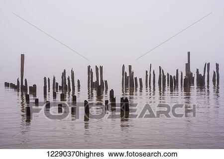 Stock Photograph - Fog obscures the Columbia River with pilings near the shore; Astoria, Oregon, United States of America. Fotosearch
