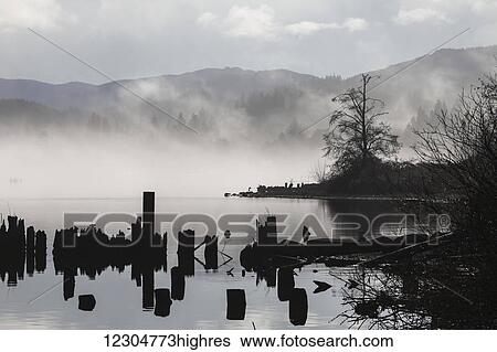 Foggy mountain lake scene with silhouettes of trees, pilings; Bellingham, Washington, United States of America View Large Photo Image Stock Photograph - Foggy mountain lake scene with silhouettes of trees, pilings; Bellingham, Washington, United States of America. Fotosearch