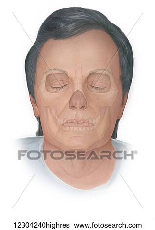 Stock Photograph - Front view of normal elderly face with a skull phantomed behind. Fotosearch