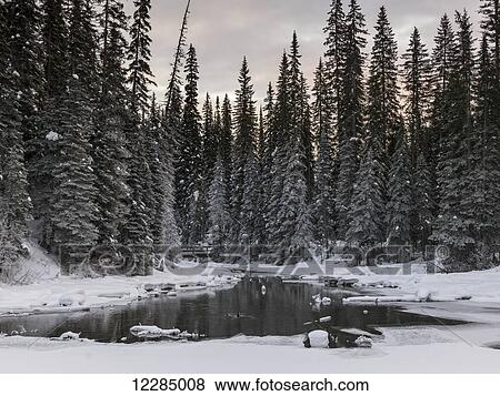 Stock Photo - Frozen Emerald Lake in Yoho National Park; British Columbia, Canada. Fotosearch