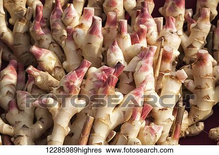 Stock Photograph - Ginger root at farmer's market; Rochester, Minnesota, United States of America. Fotosearch