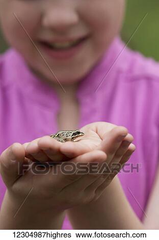 Girl holding a tree frog, Palmer, Southcentral Alaska, summer. View Large Photo Image Stock Photograph - Girl holding a tree frog, Palmer, Southcentral Alaska, summer.. Fotosearch