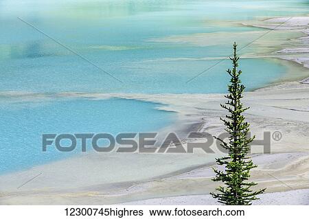 Stock Photograph - Glacial silt at the delta on Lake Louise formed by the turquoise glacial meltwater, Banff National Park; Alberta, Canada. Fotosearch