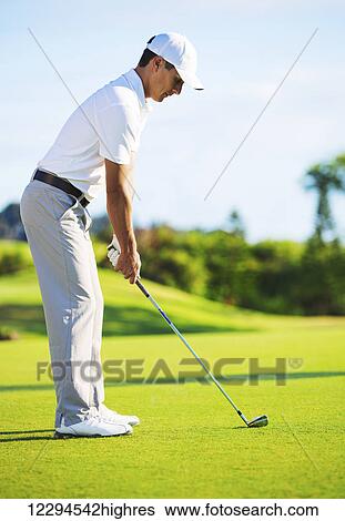 Stock Photograph - Golfer on Putting Green Hitting Ball into the Hole. Fotosearch