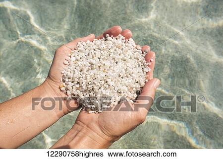 Grains of quartz in Mari Ermi beach, also known as the beach of the grains of rice; Oristano, Sardinia, Italy View Large Photo Image Stock Photograph - Grains of quartz in Mari Ermi beach, also known as the beach of the grains of rice; Oristano, Sardinia, Italy. Fotosearch