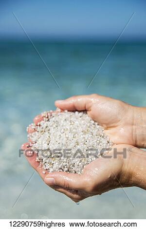 Grains of quartz in Mari Ermi beach, also known as the beach of the grains of rice; Oristano, Sardinia, Italy View Large Photo Image Stock Photograph - Grains of quartz in Mari Ermi beach, also known as the beach of the grains of rice; Oristano, Sardinia, Italy. Fotosearch