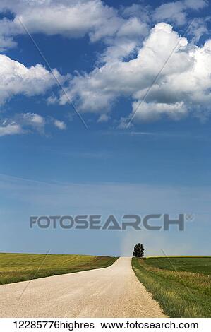 Stock Photograph - Gravel road with green fields and tree on the horizon with blue sky and clouds; Alberta, Canada. Fotosearch