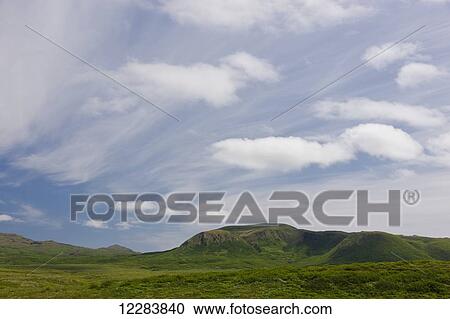 Stock Image - Green brush covered hills of Popof Island, partly cloudy skies in the background, Sand Point, Southwestern Alaska, USA, Summer . Fotosearch