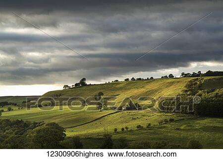 Stock Photograph - Green fields on rolling hills under a cloudy sky; Yorkshire Dales, England. Fotosearch
