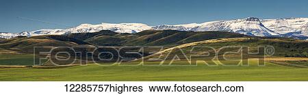 Stock Photograph - Green pastures with foothills and snow covered mountains and blue sky in the background; Alberta, Canada. Fotosearch