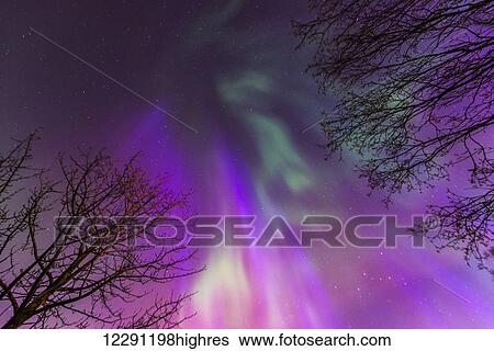Stock Photograph - Green, purple, and pink northern lights overhead, Anchorage, Southcentral Alaska. Fotosearch