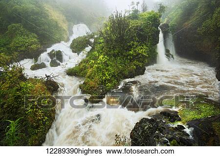 Hanawi river flash floods in heavy rain; Hana, Maui, Hawaii, United States of America View Large Photo Image Stock Photograph - Hanawi river flash floods in heavy rain; Hana, Maui, Hawaii, United States of America. Fotosearch
