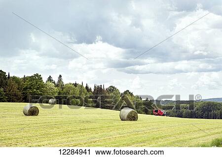 Hay bales in a field and farm tractor; Quebec, Canada View Large Photo Image Stock Image - Hay bales in a field and farm tractor; Quebec, Canada. Fotosearch