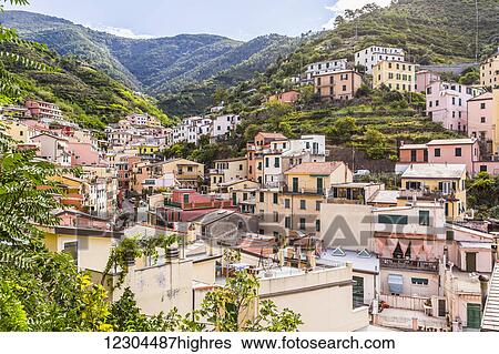 Homes in the village of Manarola in Cinque Terre National Park; Manarola, Liguria, Italy View Large Photo Image Stock Photograph - Homes in the village of Manarola in Cinque Terre National Park; Manarola, Liguria, Italy. Fotosearch