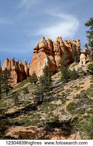 Hoodoos in Bryce Canyon National Park; Utah, United States of America View Large Photo Image Stock Photograph - Hoodoos in Bryce Canyon National Park; Utah, United States of America. Fotosearch