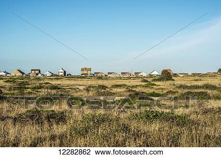 Houses in the distance viewed over a grass field; Dungeness, Kent, England View Large Photo Image Stock Image - Houses in the distance viewed over a grass field; Dungeness, Kent, England. Fotosearch