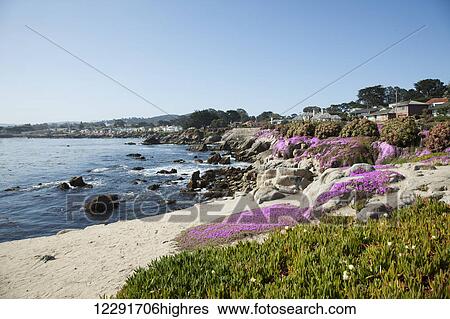 Houses on the coast of California; Monterey, California, United States of America View Large Photo Image Stock Photograph - Houses on the coast of California; Monterey, California, United States of America. Fotosearch