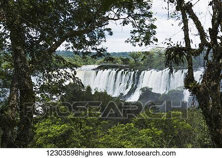 Iguazu falls seen between branches of trees; Parana, Brazil View Large Photo Image Stock Photograph - Iguazu falls seen between branches of trees; Parana, Brazil. Fotosearch