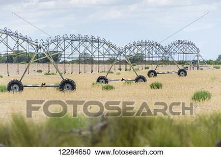 Stock Image - Irrigation system on a farm; Cape Town, Western Cape, South Africa. Fotosearch