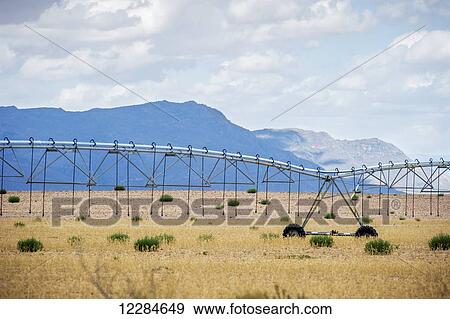 Stock Photo - Irrigation system on a farm; Cape Town, Western Cape, South Africa. Fotosearch