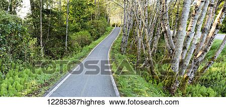 Stock Photograph - Jensen's Bay; Tofino, British Columbia, Canada. Fotosearch