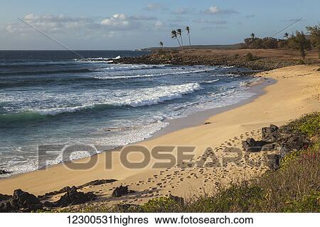 Kepuhi Beach; Molokai, Island of Hawaii, Hawaii, United States of America View Large Photo Image Stock Photograph - Kepuhi Beach; Molokai, Island of Hawaii, Hawaii, United States of America. Fotosearch