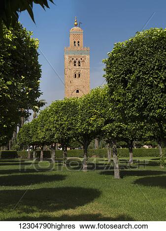 Stock Photograph - Koutoubia Mosque; Marrakech, Morocco. Fotosearch