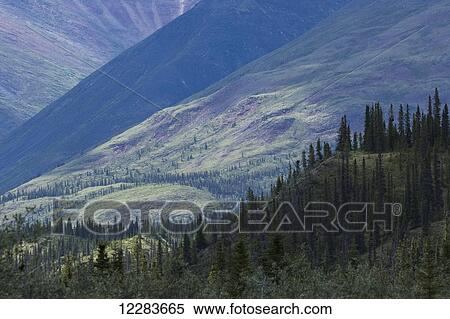 Stock Photography - Late afternoon light shining on the mountains along the wind River in the Peel Watershed; Yukon, Canada. Fotosearch