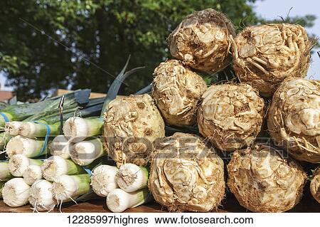 Leeks and celery root at farmer's market; Rochester, Minnesota, United States of America View Large Photo Image Stock Photograph - Leeks and celery root at farmer's market; Rochester, Minnesota, United States of America. Fotosearch
