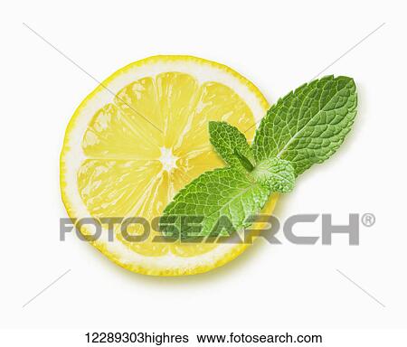 Stock Photograph - Lemon slice with mint leaves on a white background. Fotosearch