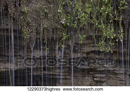 Stock Photograph - Limestone waterfall, Silver Creek, Halton Region; Ontario, Canada. Fotosearch