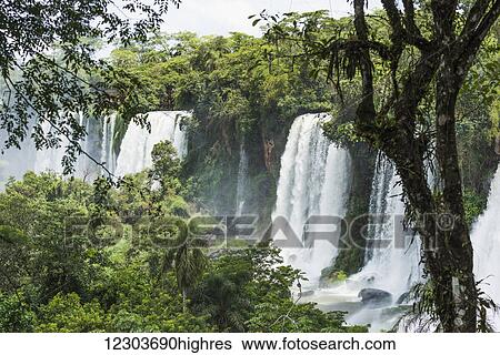 Stock Photograph - Line of Iguazu waterfalls seen between trees; Parana, Brazil. Fotosearch