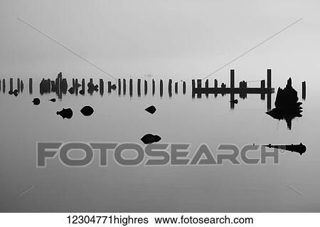 Log pilings silhouetted against foggy lake; Bellingham, Washington, United States of America View Large Photo Image Stock Photograph - Log pilings silhouetted against foggy lake; Bellingham, Washington, United States of America. Fotosearch