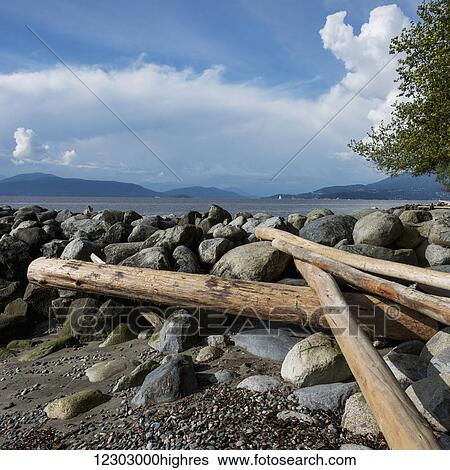 Logs and rocks on Wreck Beach along the coast of the Foreshore Trail; Vancouver, British Columbia, Canada View Large Photo Image Stock Photograph - Logs and rocks on Wreck Beach along the coast of the Foreshore Trail; Vancouver, British Columbia, Canada. Fotosearch